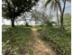 19 Reid Rd, Wongaling Beach QLD 4852