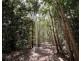 474 Bingil Bay Road, Bingil Bay QLD 4852