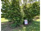 Proposed Lot 4 Conch Street, Mission Beach QLD 4852