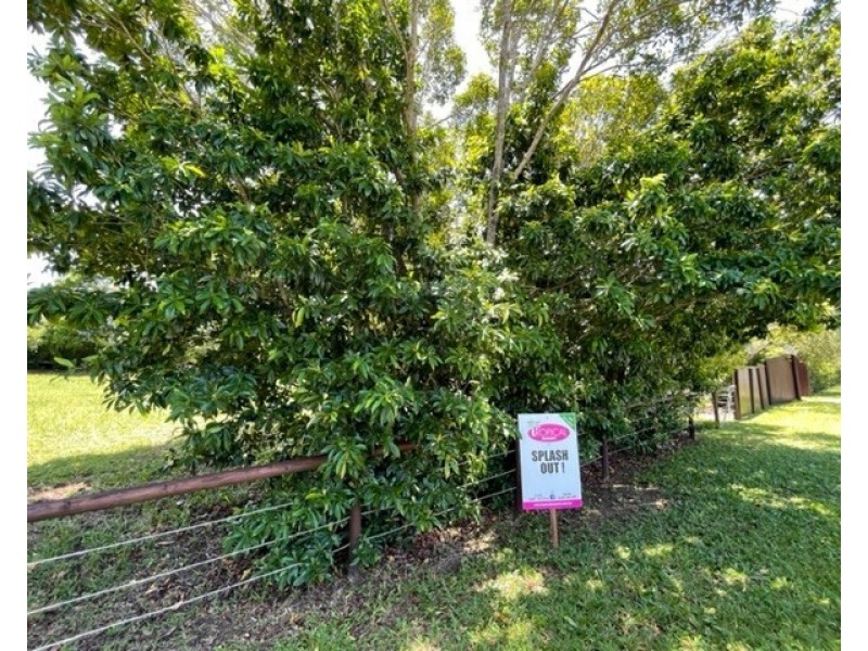 Proposed Lot 4 Conch Street, Mission Beach QLD 4852