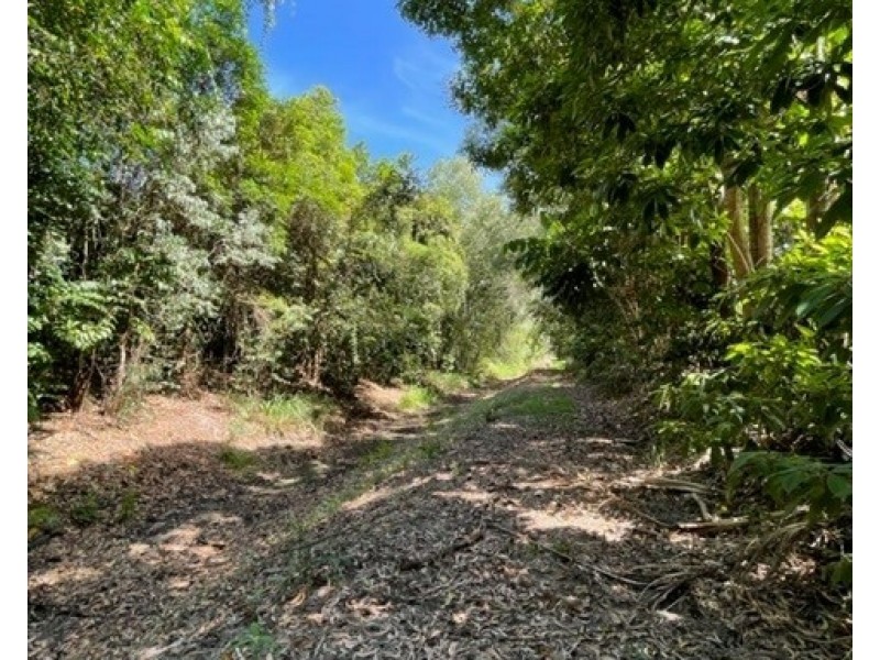 14 Clipper Ct, South Mission Beach QLD 4852