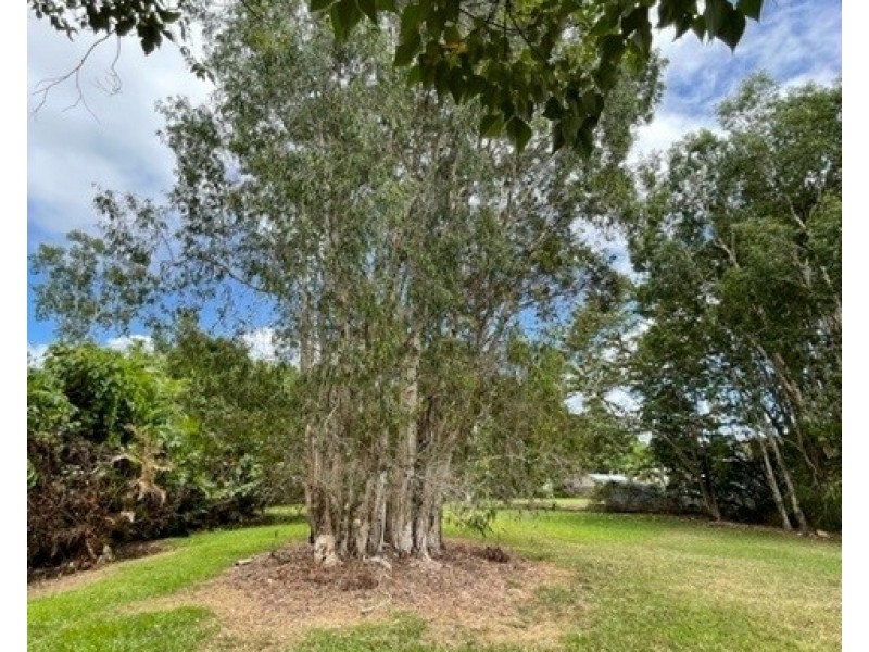 10 Volute Ct, Mission Beach QLD 4852