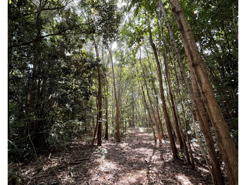 Lot 6 Bingil Bay Road, Bingil Bay QLD 4852