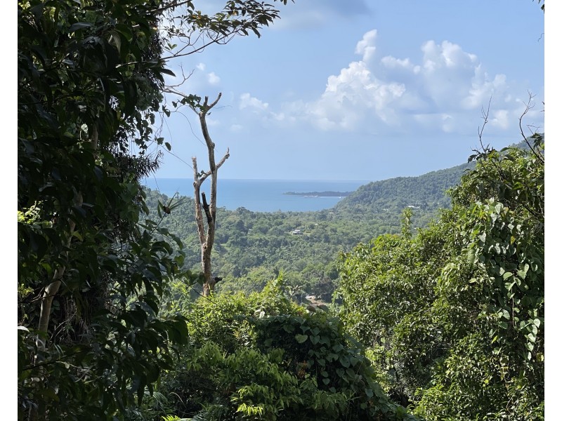 Lot 6 Bingil Bay Road, Bingil Bay QLD 4852
