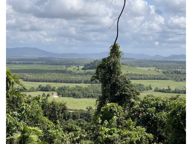 Lot 6 Bingil Bay Road, Bingil Bay QLD 4852