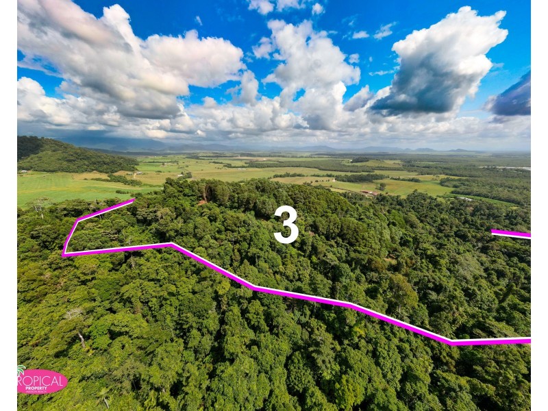 Lot 6 Bingil Bay Road, Bingil Bay QLD 4852
