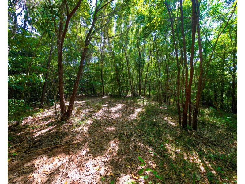 Lot 6 Bingil Bay Road, Bingil Bay QLD 4852