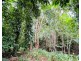 16 Royal Palm Dr, Mission Beach QLD 4852