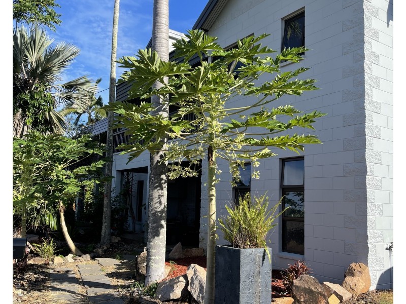 Unit 2/28 Mitchell St, South Mission Beach QLD 4852