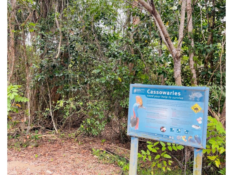 21 Jackey Jackey St, South Mission Beach QLD 4852