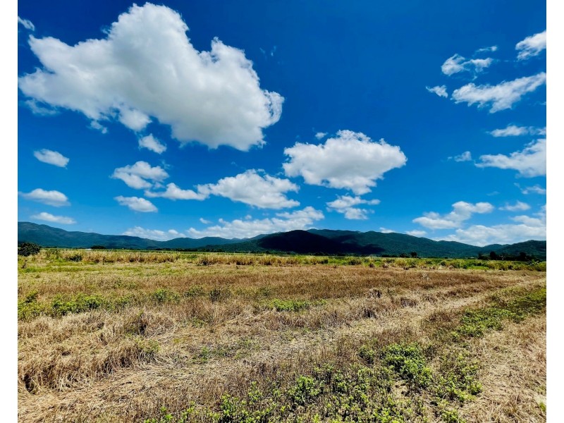 Lot 155 Bruce Highway, Feluga QLD 4854