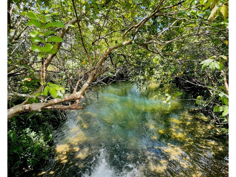 Lot 155 Bruce Highway, Feluga QLD 4854