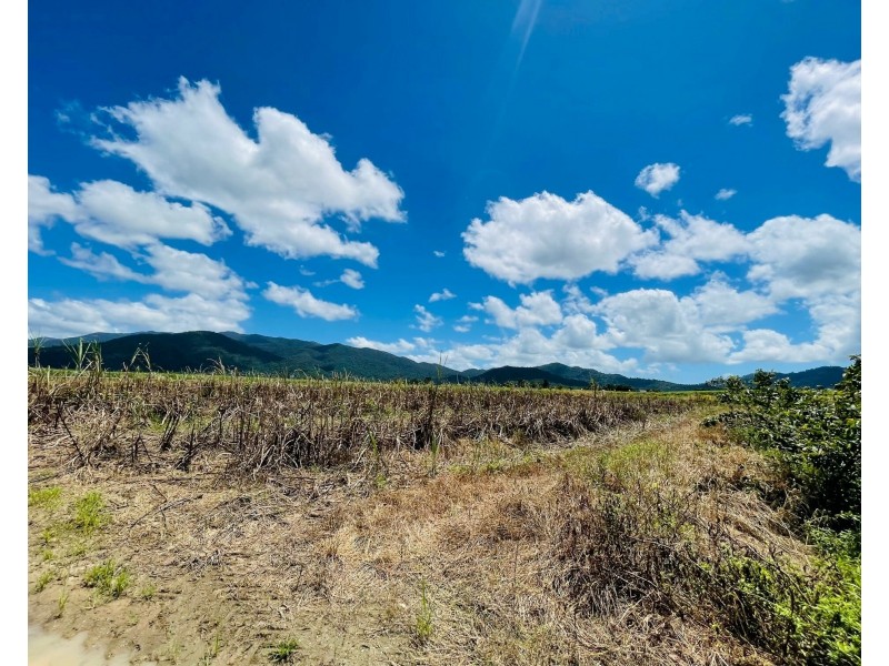 Lot 155 Bruce Highway, Feluga QLD 4854