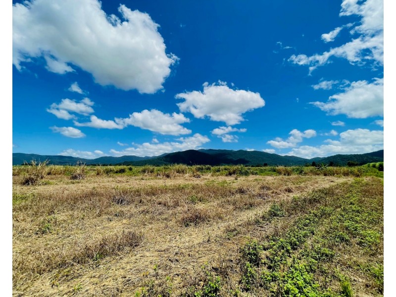 Lot 155 Bruce Highway, Feluga QLD 4854