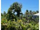 7 Cutten St, Bingil Bay QLD 4852