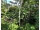 7 Cutten St, Bingil Bay QLD 4852