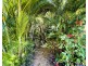 6 Sanctuary Cres, Wongaling Beach QLD 4852