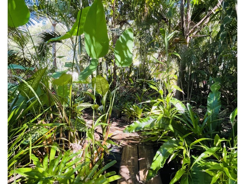 6 Sanctuary Cres, Wongaling Beach QLD 4852