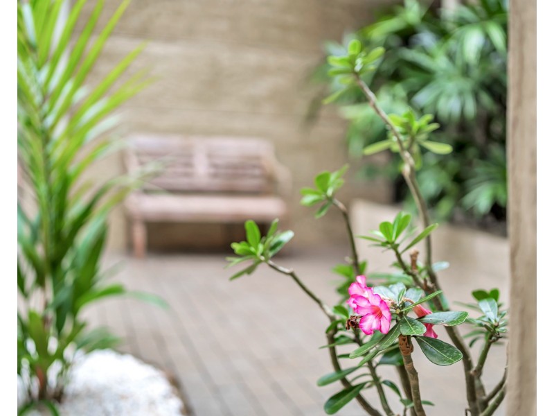 19 Mission Cir, Wongaling Beach QLD 4852