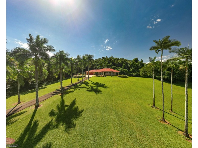 785 Old Tully Rd, Djarawong QLD 4854