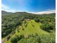 785 Old Tully Rd, Djarawong QLD 4854