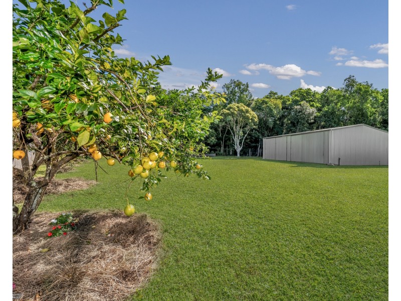 12 Sanctuary Cres, Wongaling Beach QLD 4852