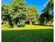 13 Webb Ct, Bingil Bay QLD 4852