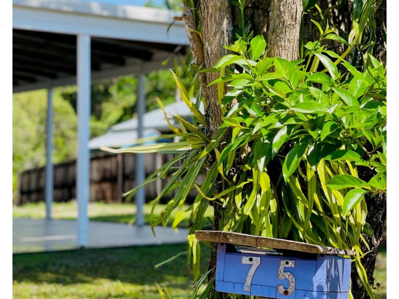 75 Holland St, Wongaling Beach QLD 4852
