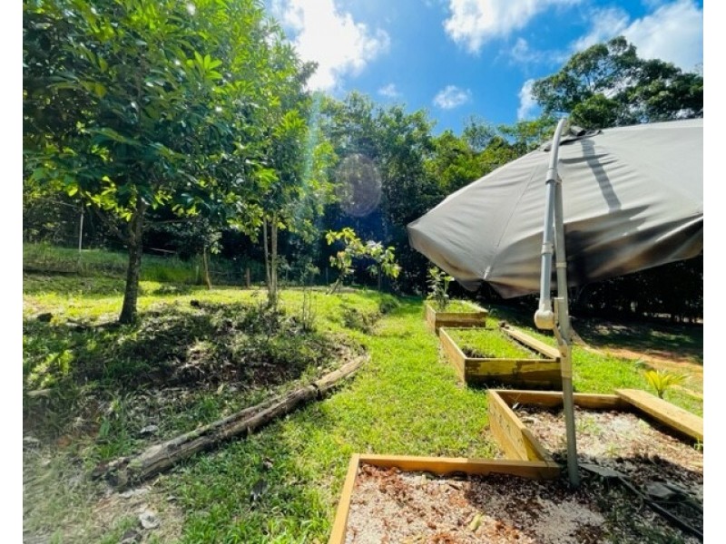 49 Pacific View Dr, Wongaling Beach QLD 4852