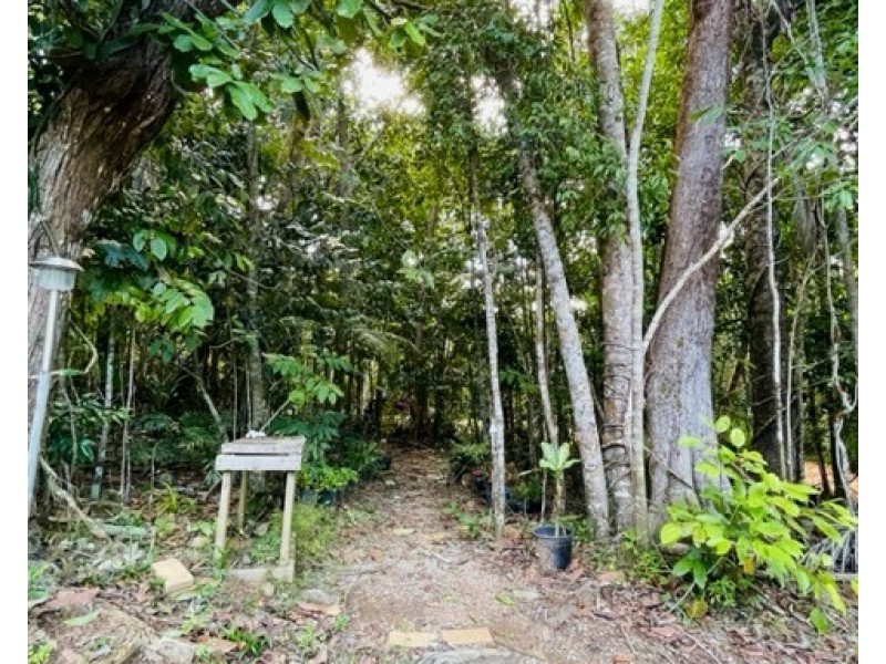 49 Pacific View Dr, Wongaling Beach QLD 4852