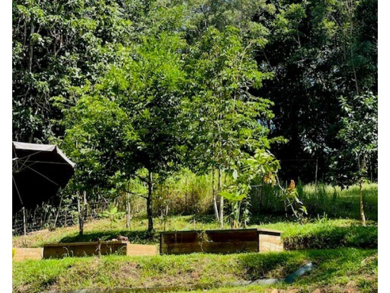 49 Pacific View Dr, Wongaling Beach QLD 4852