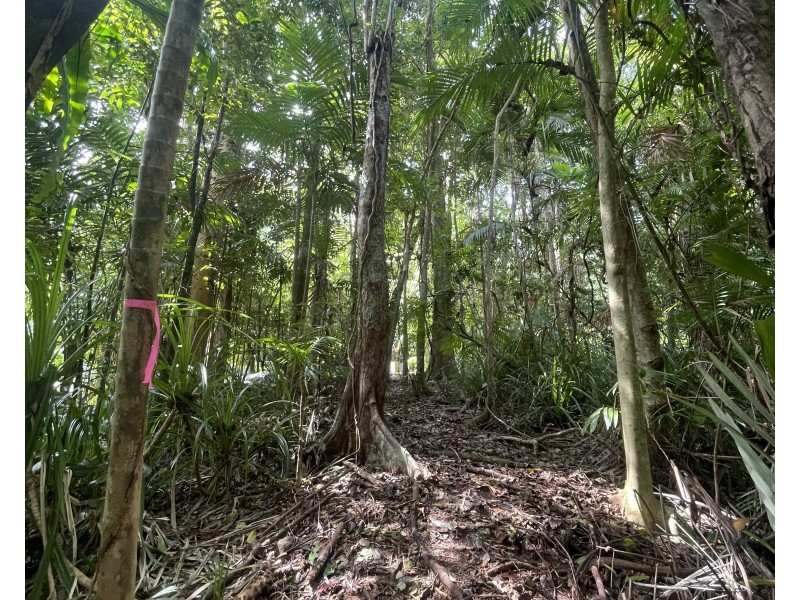 17 Bicton Cl, Bingil Bay QLD 4852