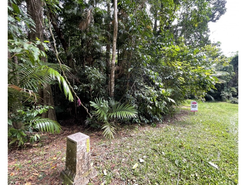 17 Bicton Cl, Bingil Bay QLD 4852