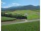 Lot 37 Jack Drive, Feluga QLD 4854