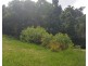 34 Maple Terrace, Tully QLD 4854