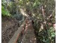 14 Pioneer St, Bingil Bay QLD 4852