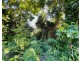15 Holland St, Wongaling Beach QLD 4852