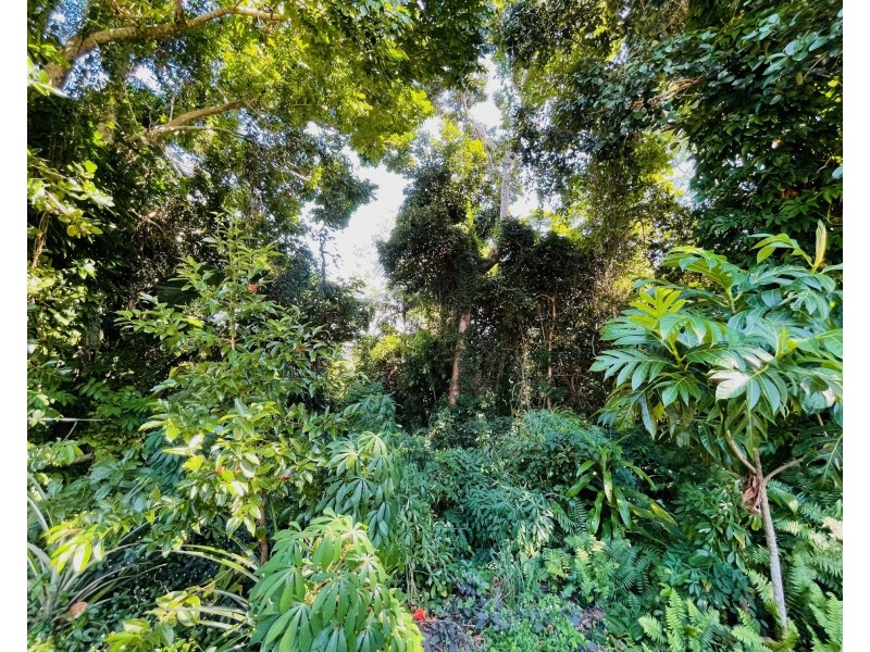 15 Holland St, Wongaling Beach QLD 4852