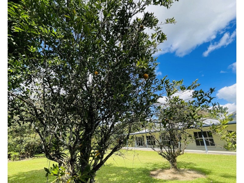 33 Thomas Ct, Bulgun QLD 4854