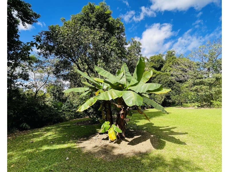 33 Thomas Ct, Bulgun QLD 4854