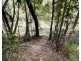 33 Thomas Ct, Bulgun QLD 4854