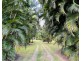 33 Thomas Ct, Bulgun QLD 4854