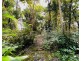 856 East Feluga Rd, East Feluga QLD 4854