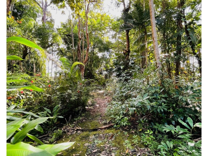 856 East Feluga Rd, East Feluga QLD 4854
