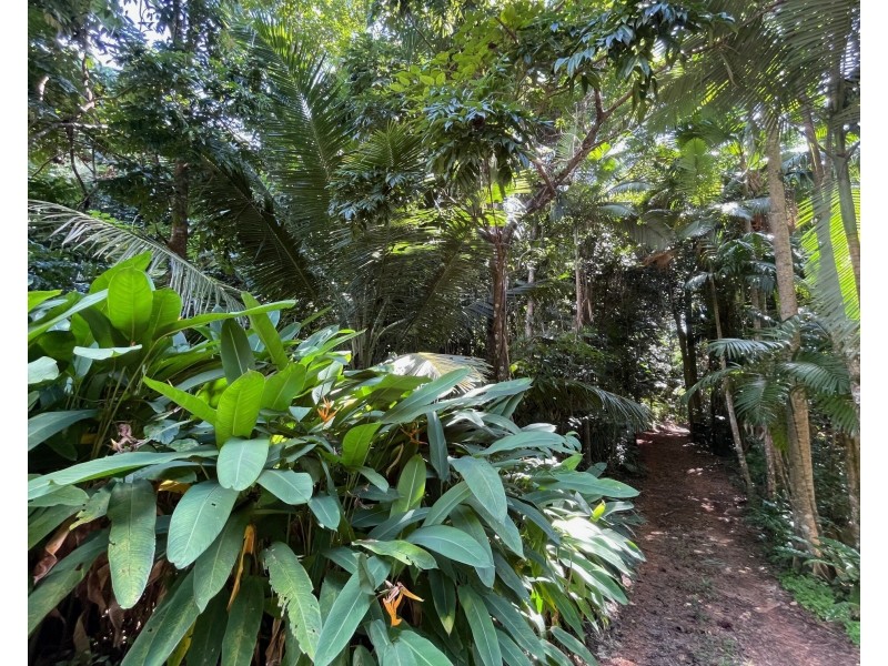 21 Bicton Cl, Bingil Bay QLD 4852