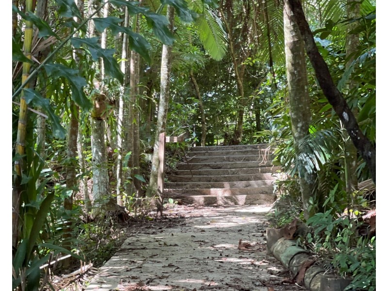 21 Bicton Cl, Bingil Bay QLD 4852