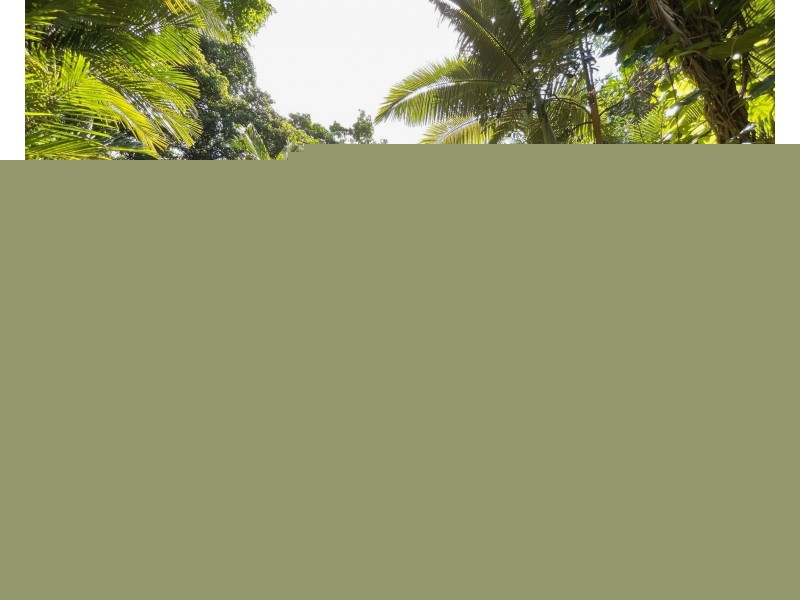 21 Bicton Cl, Bingil Bay QLD 4852