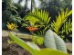 27/Giufre Crescent, Wongaling Beach QLD 4852