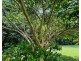 26 Dinan Cl, Bulgun QLD 4854