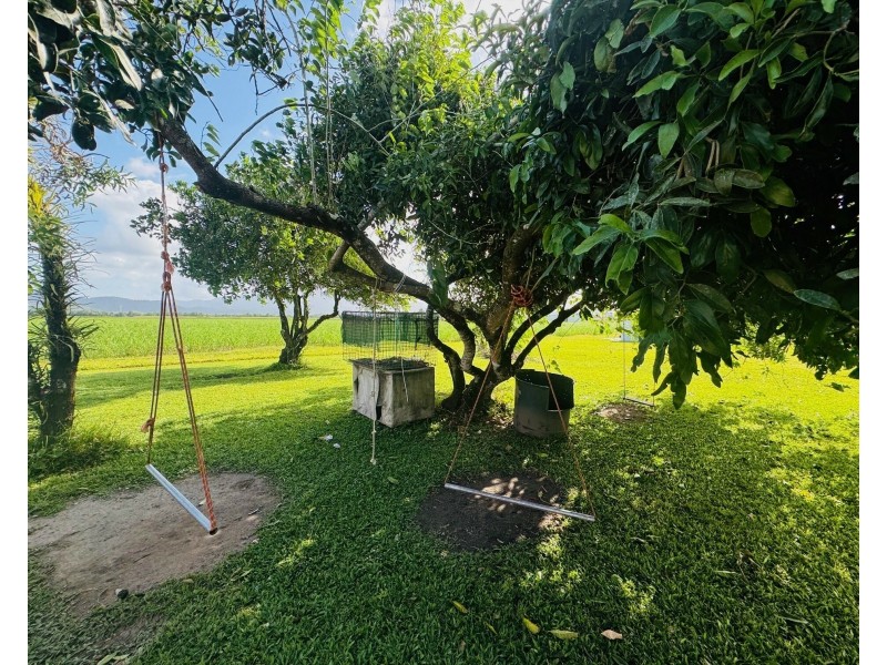 305 Silkwood Japoon Rd, Silkwood QLD 4856